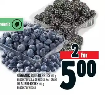 Metro Organic blueberries | blackberries offer