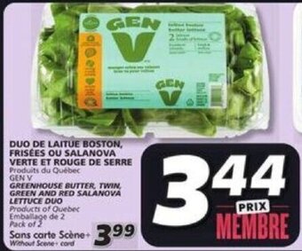 IGA GEN V GREENHOUSE BUTTER, TWIN, GREEN AND RED SALANOVA LETTUCE DUO offer