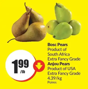 FreshCo Bosc pears | anjou pears offer