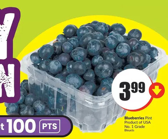 FreshCo Blueberries offer