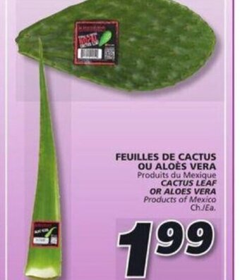 IGA CACTUS LEAF OR ALOES VERA offer