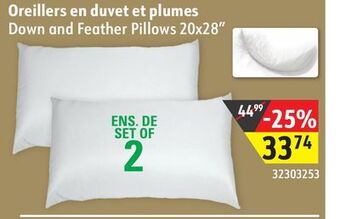 Sushi Shop Down and feather pillows offer