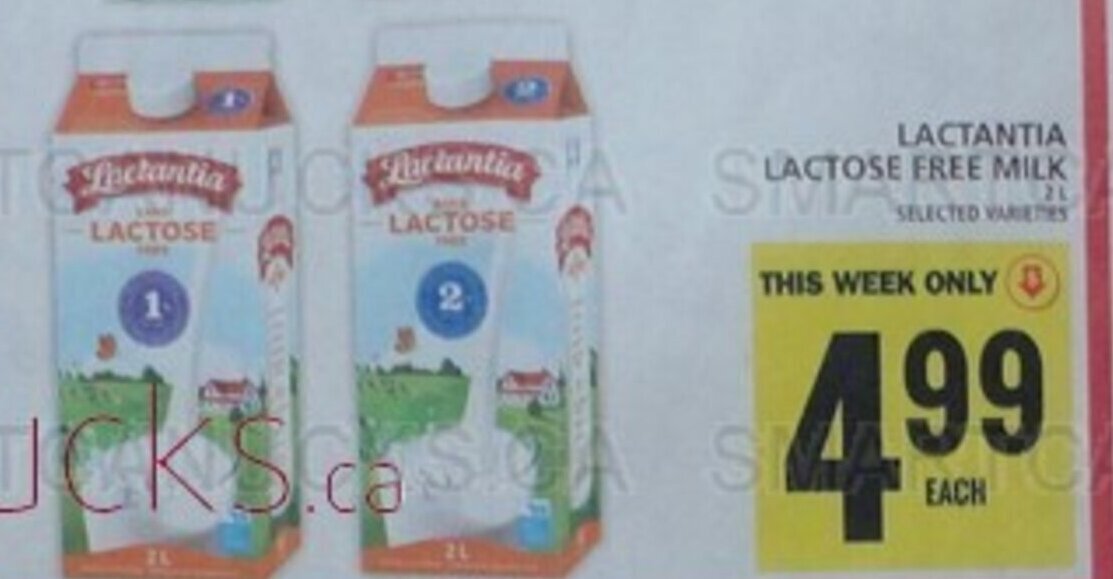 Food Basics LACTANTIA LACTOSE FREE MILK offer