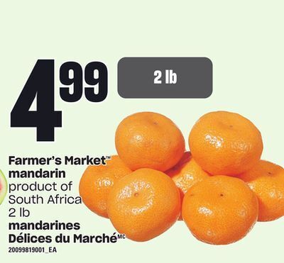 Independent City Market Mandarines délices du marché, 2 lb offer