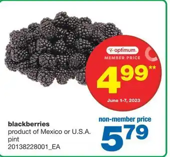 Wholesale Club Blackberries, pint offer