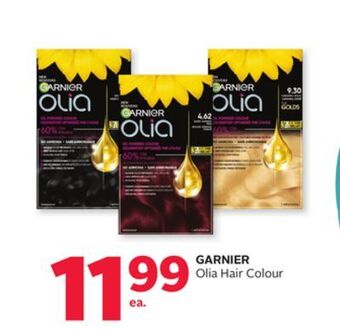 Rexall Garnier olia hair colour offer