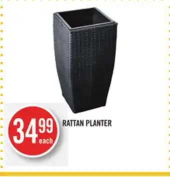 Shoppers Drug Mart Rattan planter offer
