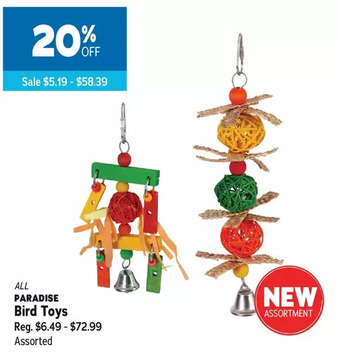 Ren’s Pets Depot Paradise bird toys offer