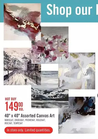 The Brick 40 x 40 assorted canvas art offer