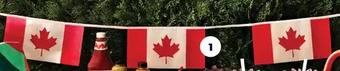 Real Canadian Superstore Canada flag banner offer