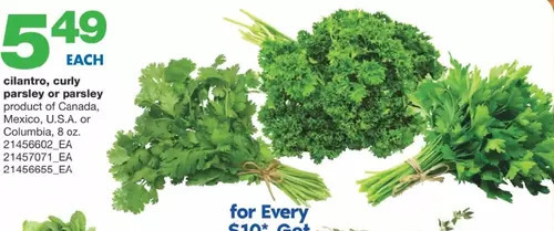 Wholesale Club Cilantro, curly parsley or parsley offer