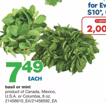 Wholesale Club Basil or mint offer