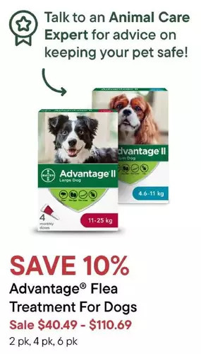 Petvalu Advantage flea treatment for dogs offer