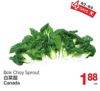 T&T Supermarket Bok choy sprout offer