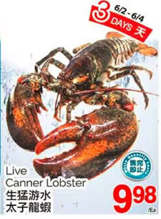 T&T Supermarket Live Canner Lobster offer