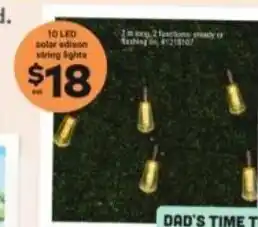 Giant Tiger 10 LED Solar Edison String Lights offer