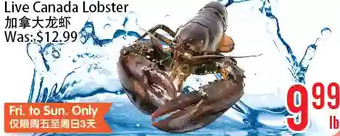 Bestco Food Mart Live canada lobster offer
