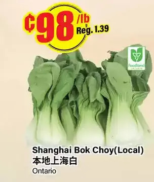Btrust Supermarket Shanghai bok choy offer