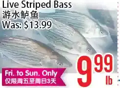 Bestco Food Mart Live striped bass offer