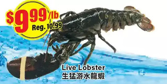 Btrust Supermarket Live lobster offer