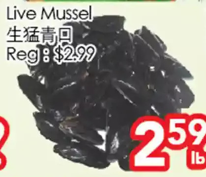 Superking Supermarket Live mussel offer