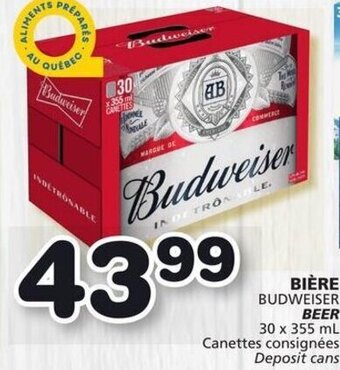 IGA Budweiser BEER offer