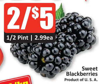 Starsky Sweet Blackberries offer