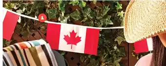 Loblaws Canada flag banner offer