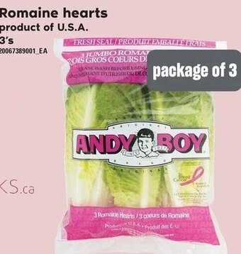 Loblaws Romaine hearts 3's offer