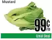 Nations Fresh Foods Mustard offer