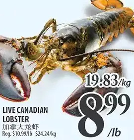 Al Premium Food Mart Live canadian lobster offer