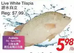 Foody World Live white tilapia offer