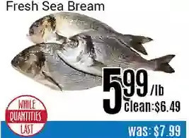 Nations Fresh Foods Fresh sea bream offer