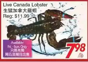 Foody World Live canada lobster offer