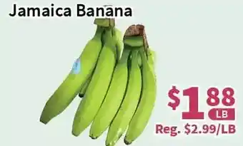 Blue Sky Supermarket Jamaica banana offer