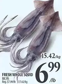 Al Premium Food Mart Fresh whole squid offer