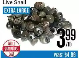 Nations Fresh Foods Live snail offer