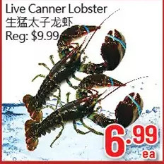 Hong Tai Supermarket Live canner lobster offer