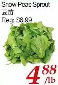 Tone Tai Supermarket Snow peas sprout offer