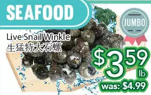 Ample Food Market Live snail winkle offer