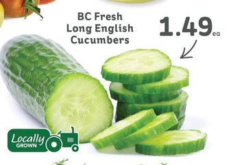 IGA BC Fresh Long English Cucumbers offer