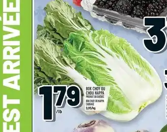 Metro Bok Choy Ou Chou Nappa offer