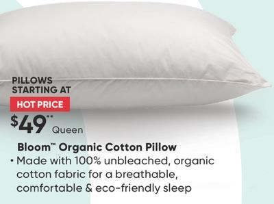 Sleep Country Bloom organic cotton pillow offer