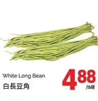 T&T Supermarket White Long Bean /lb offer
