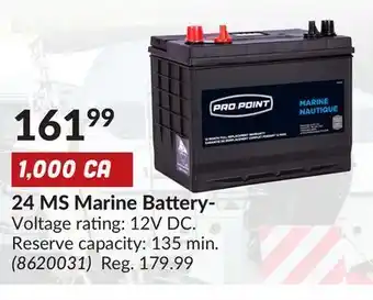 Princess Auto 24 ms marine battery- offer