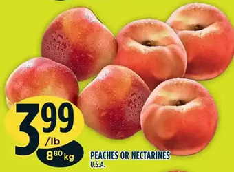 Marché Adonis Peaches | nectarines offer