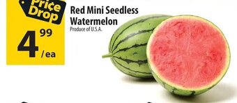 Co-op Red Mini Seedless Watermelon offer