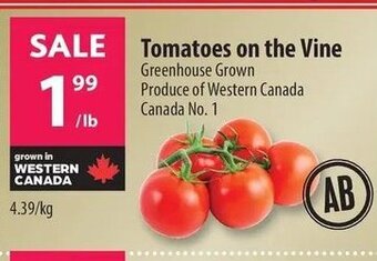 Co-op Tomatoes on the Vine offer