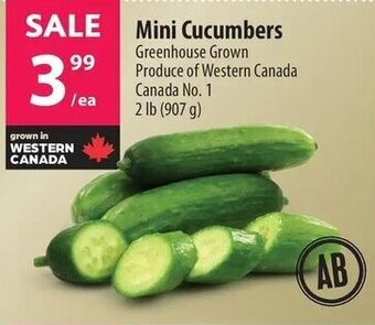 Co-op Mini Cucumbers offer