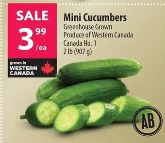 Co-op Mini Cucumbers offer